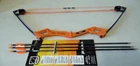 Bear Archery Youth Compound Bow-- Used Excellent Condition. Price: $50.00.