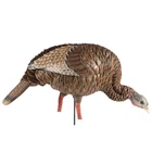 Avian-x Hdr Feeding Hen AVX8107 New. Price: $139.99.