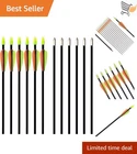 28-INCH Fiberglass Target Arrows Set For Recurve Bow Practice Youth Sport New. Price: $37.97.