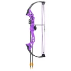 Bear Archery Brave Rh Purple Youth Compound Bow Set (AYS300PL) New. Price: $100.99.
