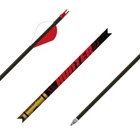 Gold Tip Hunter Arrows Pk HUN340A26 New. Price: $52.99.