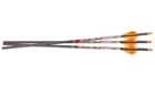 Ravin .001" Premium Match-grade Lighted Arrows 400 Grain Carbon Units R134 New. Price: $105.49.