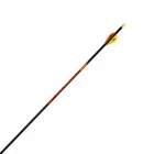 Black Eagle Outlaw Arrows W/2 Inch Vanes 6 Pack New. Price: $55.51.