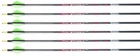Victory Vforce Sport 400 Arrows Factory Fletched W/ 2" Raptor Vanes 6 Pack New. Price: $66.40.