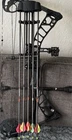 Mission Switch By Mathews & Phase 4 Compound Bows Right Hand Cases New. Price: $1700.00.
