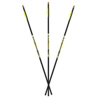 Carbon Express D-stroyer Arrows New. Price: $45.99.