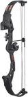New Bear Archery Brave Youth Compound Bow Package Rh Arrow Rest Sight And More. Price: $62.99.