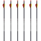 Easton Arrow Fmj Carbon Core 6PK 300 Spine 2" Blazers #17840 Full Metal Jacket New. Price: $94.99.