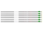 (new) Bloodsport Bloodhunter Arrow, 400 Spine, 6 Pack. Price: $87.11.