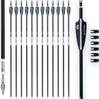 Bowsoul 31INCH Carbon Arrows For Target Practice Hunting With Removable... New. Price: $44.99.