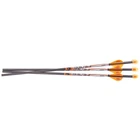 Ravin .001 Premium Match-grade Lighted Arrows R134 20IN 400GR 3-PACK New. Price: $117.18.