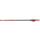 Gold Tip Hunter Arrows 300 Raptor Vanes 12 Pk. New. Price: $105.22.
