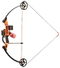 Ams Blaze B835-RH Hooligan V2 Pro Bowfishing Package Right Hand 50 Lb New. Price: $429.99.