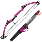 Genesis Original Archery Compound Bow Arrow Set, Draw Hand-right, Purple New. Price: $214.99.