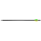 Traditions Firebolt 2216 Arrows In. Pk. New. Price: $90.49.