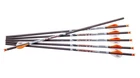 Ravin .001" Premium Crossbows Arrows Bolts 400 Grain Pure Carbon 6 Units - R139 New. Price: $100.47.