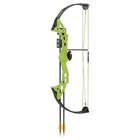 Bear Archery Brave Rh Green Youth Compound Bow Set (AYS300GR) New. Price: $107.99.