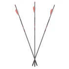 Axe Crossbow 19" Bolts For AX440 (6-PACK) .166 Id Micro Diameter Shaft, 19... New. Price: $164.31.