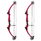 Genesis Archery Compound Bow Adjustable Sizing For Right Handed, Red (2 Pack) New. Price: $329.98.