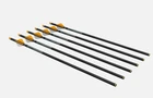 Ravin R500 Series .003 Arrows Crossbow 20IN 400GR 6-PACK R120 New. Price: $69.50.