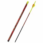 Black Eagle Outlaw Fletched Crested Arrows - .005" 6 Pack 400 Flourescent Ye New. Price: $56.99.