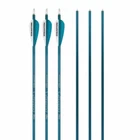Easton Genesis Teal Arrows (6PK) New. Price: $41.99.