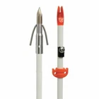 Chaos Point With White Fiberglass Shaft A203-AMS New. Price: $19.99.