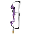 Bear Archery Brave Purple Rh Youth Bow Set (AYS300PL) New. Price: $78.35.