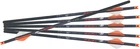 Crossbows R18 Arrow .003 6PK New. Price: $135.99.