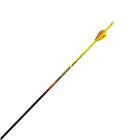 Black Eagle Renegade Fletched Arrows 6PK, .005" 250 Spine (173) New. Price: $75.62.