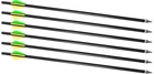 Traditions Firebolt 2216 Arrows 16" Aluminum - A2217 New. Price: $104.98.