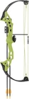Bear Archery Brave Youth Bow Includes Whisker Biscuit, Arrows, And Quiv.... Price: $97.33.
