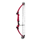 Genesis Bow - Red Right Handed New In Box 10476. Price: $165.00.