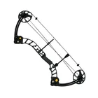 Professional Hunting Black Compound Bow New. Price: $345.45.