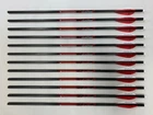 Bloodsport Hunter 20" Carbon Halfmoon Crossbow Arrow Bolts Dozen (12) New. Price: $84.99.