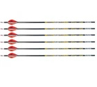 Victory Archery 6-PACK Elite Arrows #VAPE-400FB-6 New. Price: $109.99.