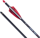 Tenpoint Centerpunch 20" Arrow, Alpha Nock Hpx, 6-PACK HEA-770.6-NEW. Price: $182.11.