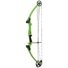 Genesis Bow Green Rh New. Price: $199.88.