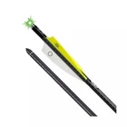 Tenpoint Evo-x Centerpunch Lighted Carbon Arrows 20" Alpha-blaze Green HEA-749. New. Price: $117.99.