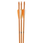 October Mountain Youth Fiberglass Arrows 26 In. 3 Pk. New. Price: $16.99.