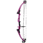 Genesis Mini Bow Purple Right Hand Used. Price: $172.53.