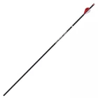 Easton 4MM Fmj 340 Arrows With 2" Blazer Vanes Carbon Core / Jacket - 630155 New. Price: $135.99.