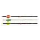Victory Archery Sport 6PK RIPAS-350FQ-6 New. Price: $74.99.