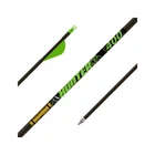 Gold Tip Hunter Xt 340 Spine W/ 2 Raptor Vanes (6PK). Price: $74.99.