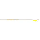Gold Tip Arrow Hunter Pro 400 2" Raptor Vanes 1/2DOZ New. Price: $99.99.