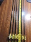 Easton Axis 2 Inch Blazer Vanes 400 Spine Arrows Inserts Installed Used. Price: $45.90.