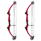 Genesis Archery Compound Bow Adjustable Sizing For Right Handed, Red (2 Pack) New. Price: $334.99.
