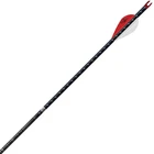 Easton Fmj 4MM 250 Diamond Plate Arrows 2'' Blazer Vanes 6PK (130153): New. Price: $147.99.
