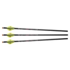 Excalibur Quill 16.5" Illuminated Carbon Crossbow Arrows 3-PACK, Beacon Nocks New. Price: $69.99.