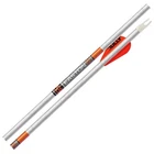 Easton 6.5 Whiteout 400 Arrows 6PK W/ 2" Bully Vanes (529869): New, Free Ship. Price: $101.99.